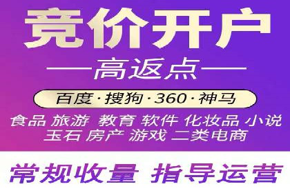 竞价广告的创意与执行：某快消品的营销突破